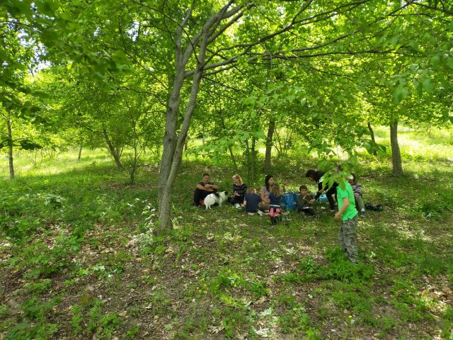 bosco-pic-nic