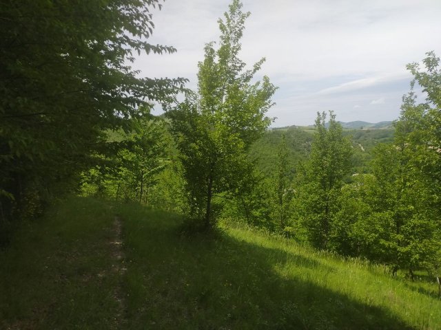podere-bosco