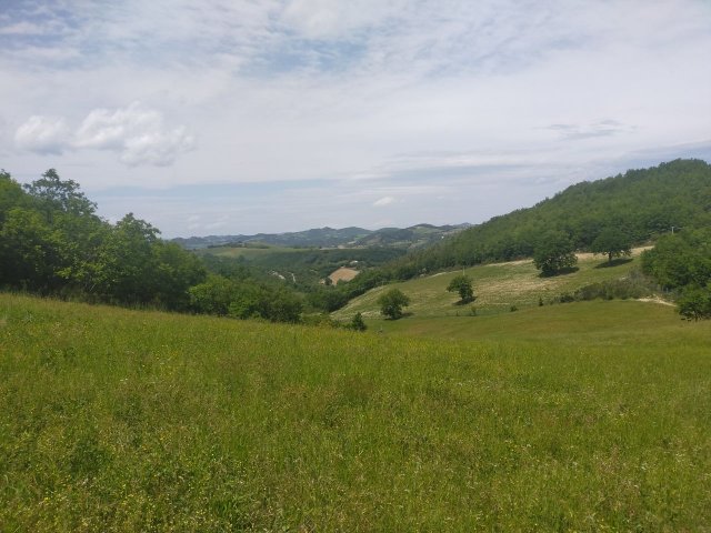 podere-esteso