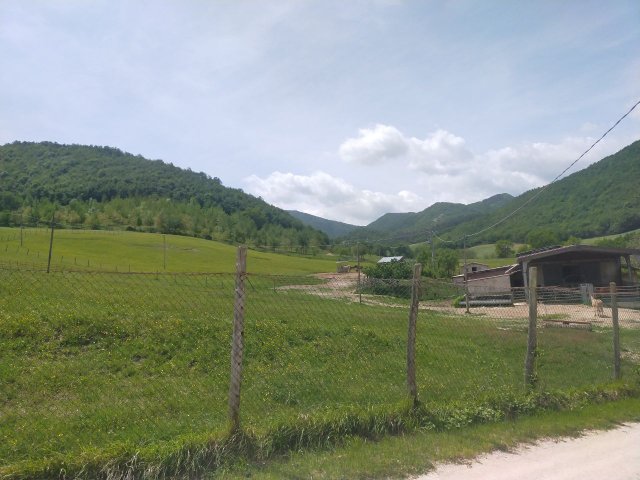 stalla